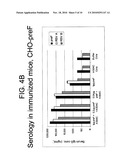 RECOMBINANT RSV ANTIGENS diagram and image