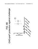 RECOMBINANT RSV ANTIGENS diagram and image