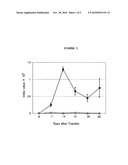 COMPOSITION FOR INHIBITION OF TRANSPLANT REJECTION CONTAINING THE CORDYCEPS MYCELLIA EXTRACT AS AN ACTIVE INGREDIENT diagram and image