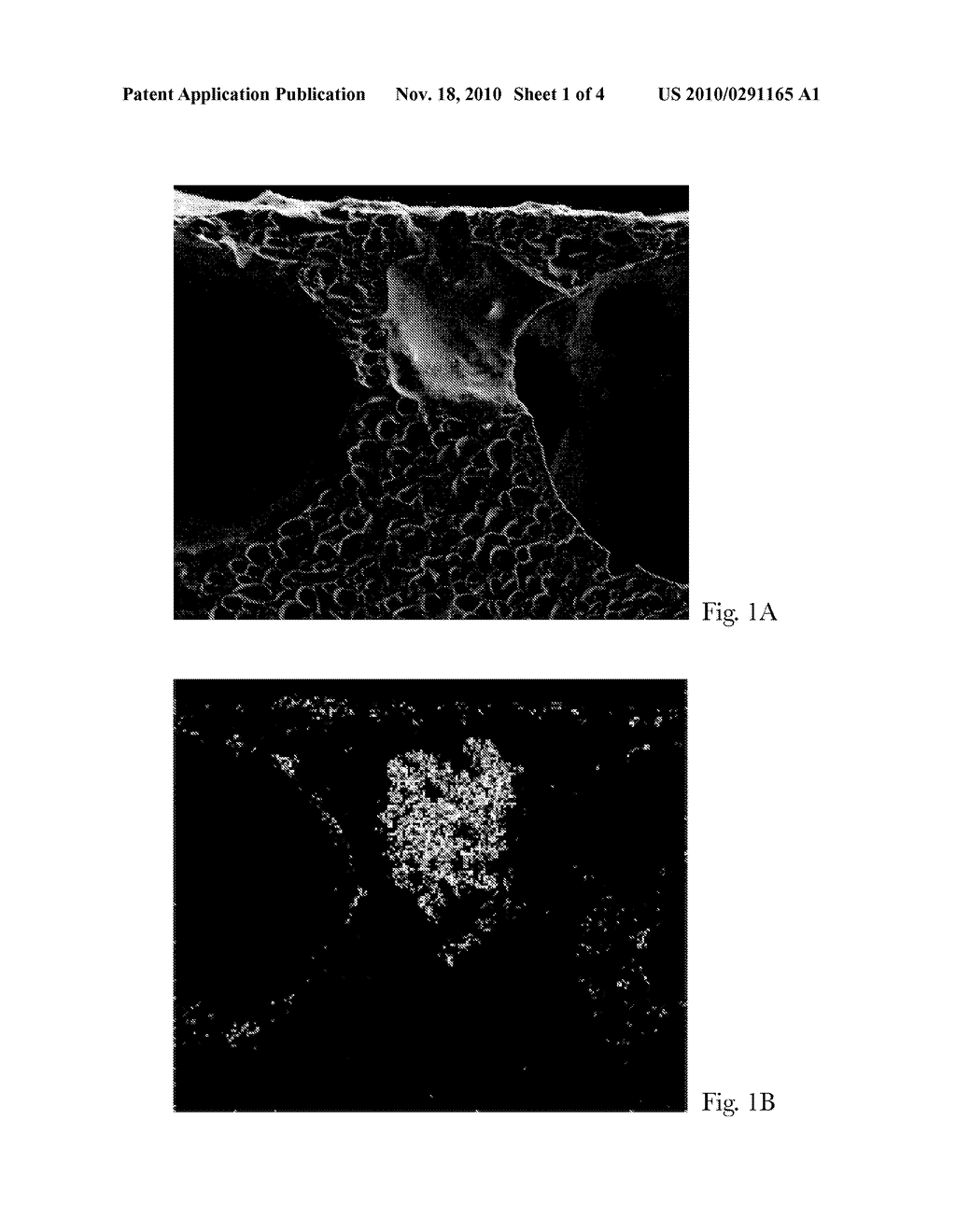 PERSONAL CARE COMPOSITION IN THE FORM OF AN ARTICLE HAVING A HYDROPHOBIC SURFACE-RESIDENT COATING - diagram, schematic, and image 02