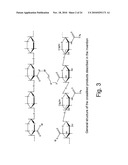 HYALURONIC ACID DERIVATIVES OBTAINED VIA  CLICK CHEMISTRY  CROSSLINKING diagram and image