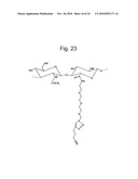 HYALURONIC ACID DERIVATIVES OBTAINED VIA  CLICK CHEMISTRY  CROSSLINKING diagram and image