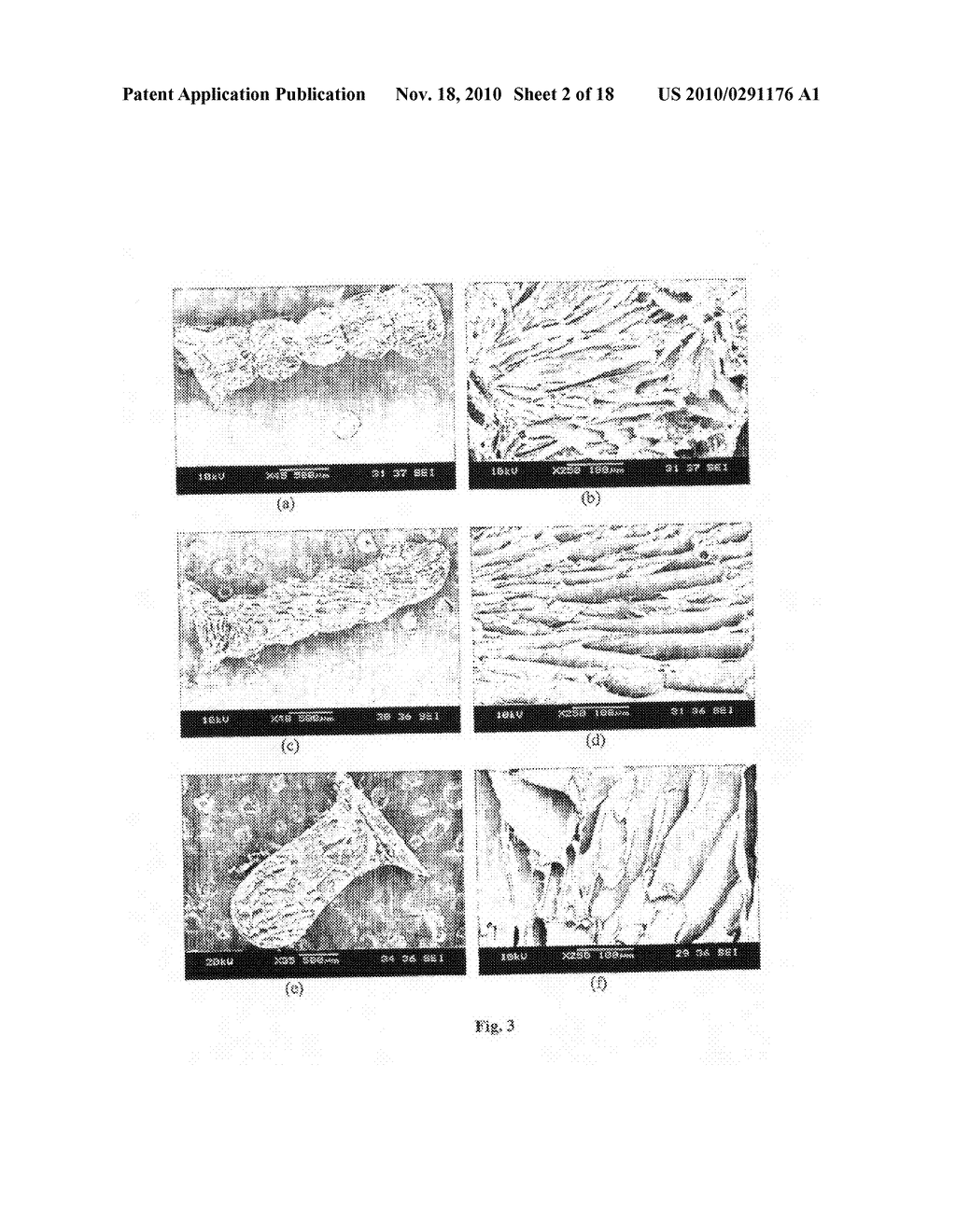 MANUFACTURING THREE-DIMENSIONAL SCAFFOLDS USING CRYOGENIC PROTOTYPING - diagram, schematic, and image 03