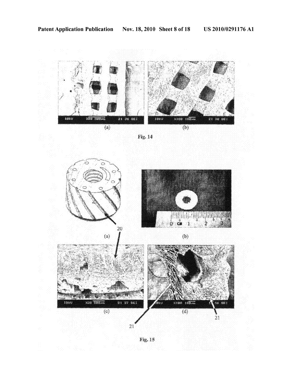 MANUFACTURING THREE-DIMENSIONAL SCAFFOLDS USING CRYOGENIC PROTOTYPING - diagram, schematic, and image 09