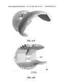 RETICULATED MESH ARRAYS AND DISSIMILAR ARRAY MONOLITHS BY ADDITIVE LAYERED MANUFACTURING USING ELECTRON AND LASER BEAM MELTING diagram and image