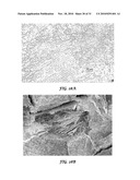 RETICULATED MESH ARRAYS AND DISSIMILAR ARRAY MONOLITHS BY ADDITIVE LAYERED MANUFACTURING USING ELECTRON AND LASER BEAM MELTING diagram and image