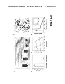 METHODS AND COMPOSITIONS RELATED TO PHAGE-NANOPARTICLE ASSEMBLIES diagram and image