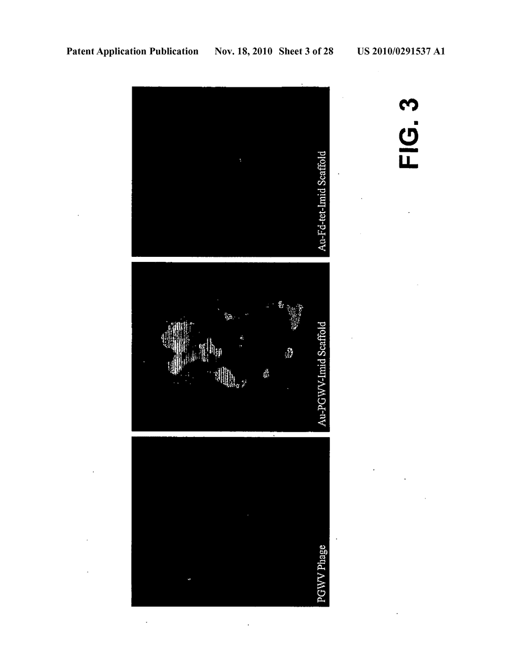 METHODS AND COMPOSITIONS RELATED TO PHAGE-NANOPARTICLE ASSEMBLIES - diagram, schematic, and image 04