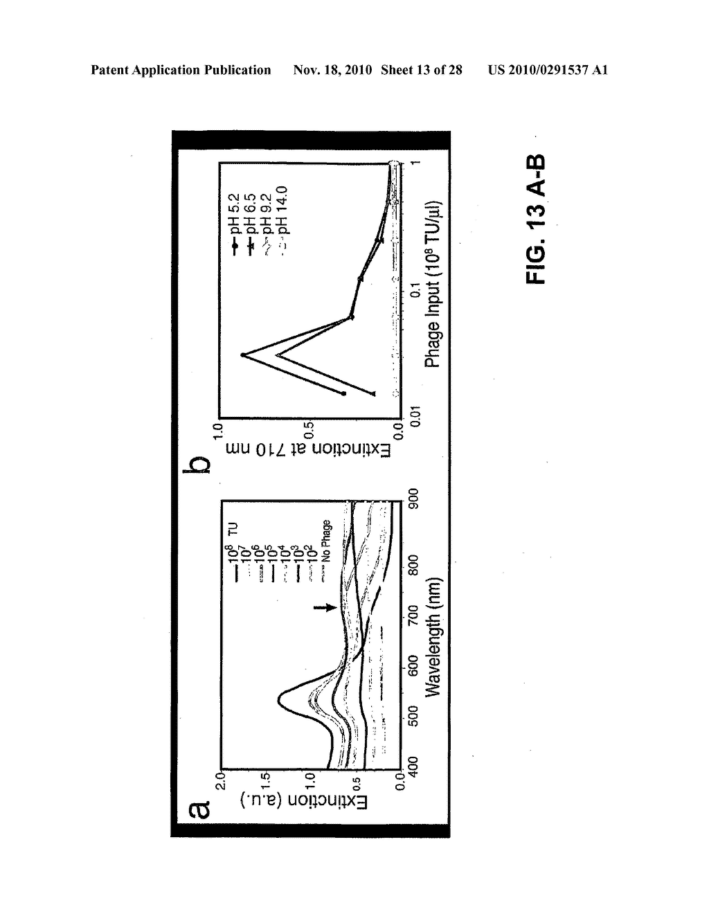 METHODS AND COMPOSITIONS RELATED TO PHAGE-NANOPARTICLE ASSEMBLIES - diagram, schematic, and image 14