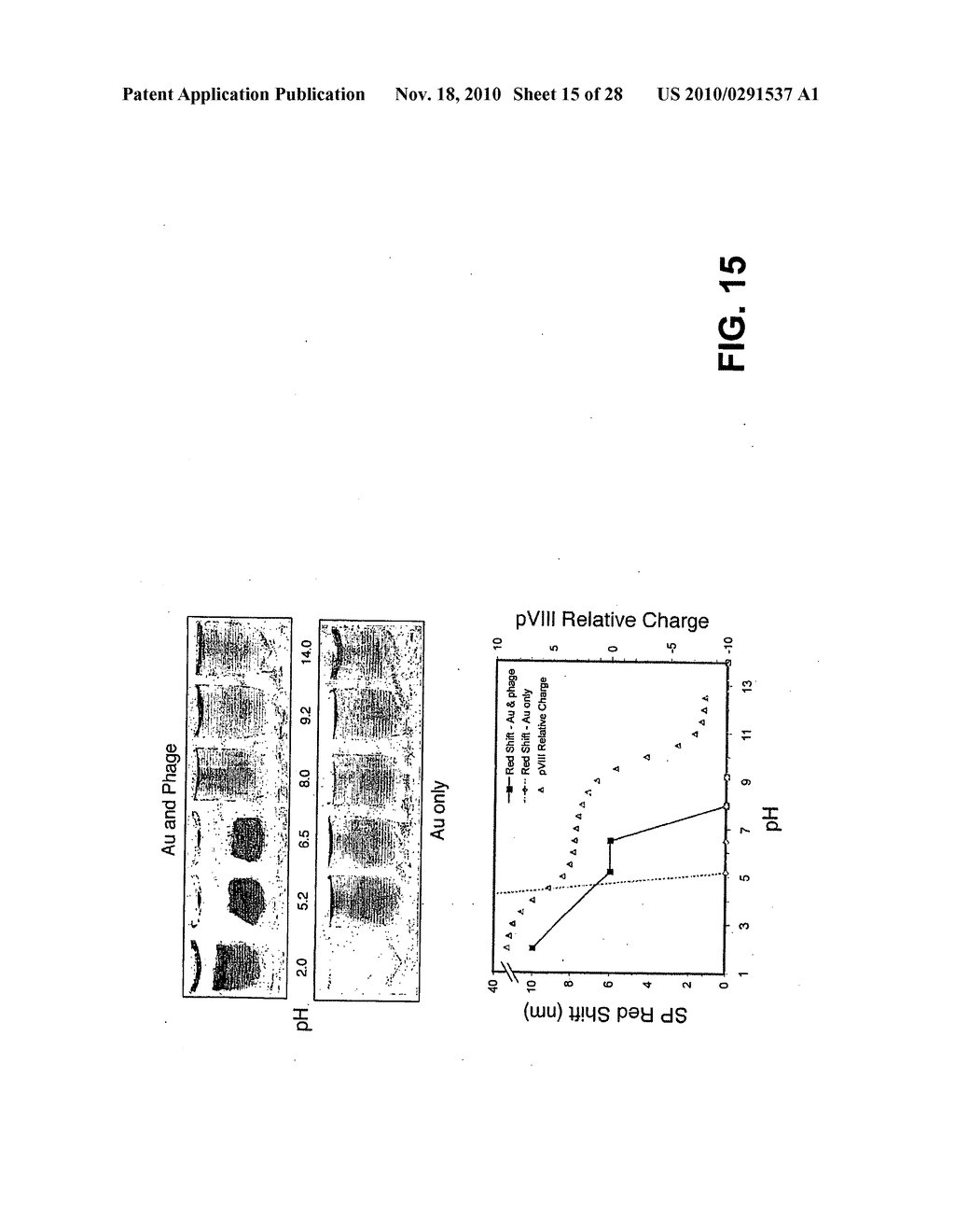 METHODS AND COMPOSITIONS RELATED TO PHAGE-NANOPARTICLE ASSEMBLIES - diagram, schematic, and image 16