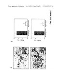 METHODS AND COMPOSITIONS RELATED TO PHAGE-NANOPARTICLE ASSEMBLIES diagram and image