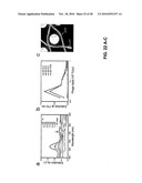 METHODS AND COMPOSITIONS RELATED TO PHAGE-NANOPARTICLE ASSEMBLIES diagram and image