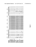 COMPOSITIONS FOR USE IN IDENTIFICATION OF STRAINS OF HEPATITIS C VIRUS diagram and image
