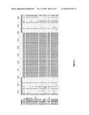 COMPOSITIONS FOR USE IN IDENTIFICATION OF STRAINS OF HEPATITIS C VIRUS diagram and image