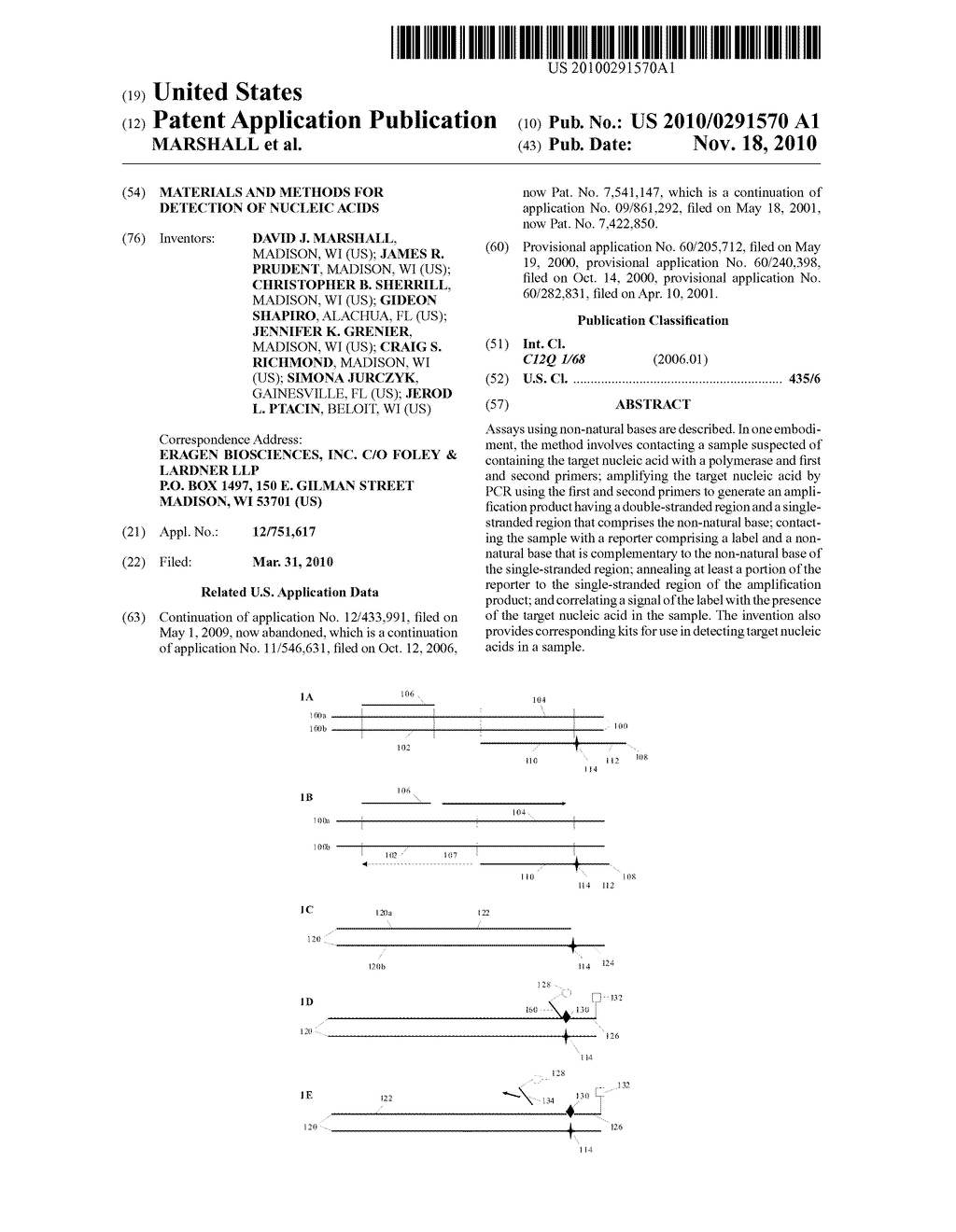 MATERIALS AND METHODS FOR DETECTION OF NUCLEIC ACIDS - diagram, schematic, and image 01