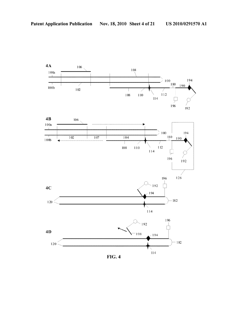 MATERIALS AND METHODS FOR DETECTION OF NUCLEIC ACIDS - diagram, schematic, and image 05