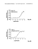 ErbB Surface Receptor Complexes as Biomarkers diagram and image