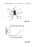 ErbB Surface Receptor Complexes as Biomarkers diagram and image