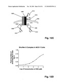 ErbB Surface Receptor Complexes as Biomarkers diagram and image