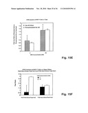 ErbB Surface Receptor Complexes as Biomarkers diagram and image