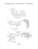 NOVEL GTP CYCLOHYDROLASE TYPE IB diagram and image