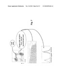 ENHANCED EXPRESSION AND STABILITY REGIONS diagram and image