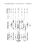 ENHANCED EXPRESSION AND STABILITY REGIONS diagram and image