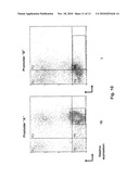 ENHANCED EXPRESSION AND STABILITY REGIONS diagram and image