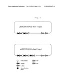 METHOD FOR PRODUCTION OF ANTIBODY diagram and image