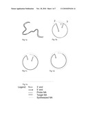 METHOD FOR INTRODUCING COMMON AND/OR INDIVIDUAL SEQUENCE ELEMENTS IN A TARGET NUCLEIC ACID MOLECULE diagram and image