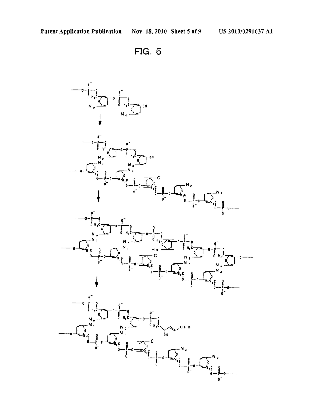 METHOD FOR MODIFYING NUCLEOTIDE CHAIN - diagram, schematic, and image 06