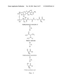 PROCESS FOR PREPARING METHACRYLIC ACID OR METHACRYLIC ESTERS diagram and image