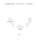 PROCESS FOR PREPARING METHACRYLIC ACID OR METHACRYLIC ESTERS diagram and image