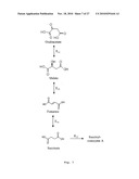 PROCESS FOR PREPARING METHACRYLIC ACID OR METHACRYLIC ESTERS diagram and image