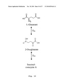 PROCESS FOR PREPARING METHACRYLIC ACID OR METHACRYLIC ESTERS diagram and image