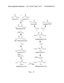 PROCESS FOR PREPARING METHACRYLIC ACID OR METHACRYLIC ESTERS diagram and image