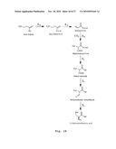 PROCESS FOR PREPARING METHACRYLIC ACID OR METHACRYLIC ESTERS diagram and image