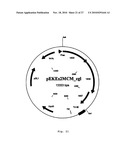 PROCESS FOR PREPARING METHACRYLIC ACID OR METHACRYLIC ESTERS diagram and image