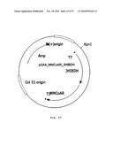 PROCESS FOR PREPARING METHACRYLIC ACID OR METHACRYLIC ESTERS diagram and image