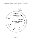 PROCESS FOR PREPARING METHACRYLIC ACID OR METHACRYLIC ESTERS diagram and image