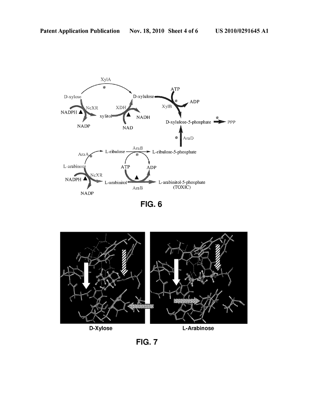 XYLOSE REDUCTASE MUTANTS AND USES THEREOF - diagram, schematic, and image 05