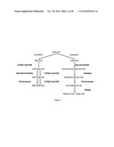 BIOTRANSFORMATION USING GENETICALLY MODIFIED CANDIDA diagram and image