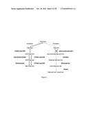 BIOTRANSFORMATION USING GENETICALLY MODIFIED CANDIDA diagram and image