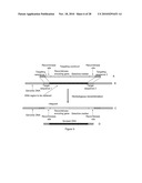 BIOTRANSFORMATION USING GENETICALLY MODIFIED CANDIDA diagram and image