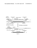 BIOTRANSFORMATION USING GENETICALLY MODIFIED CANDIDA diagram and image