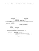 BIOTRANSFORMATION USING GENETICALLY MODIFIED CANDIDA diagram and image