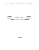 BIOTRANSFORMATION USING GENETICALLY MODIFIED CANDIDA diagram and image