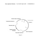 BIOTRANSFORMATION USING GENETICALLY MODIFIED CANDIDA diagram and image