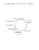 BIOTRANSFORMATION USING GENETICALLY MODIFIED CANDIDA diagram and image