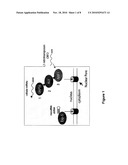 ALTERNATIVE EXPORT PATHWAYS FOR VECTOR EXPRESSED RNA INTERFERENCE diagram and image